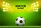 Soccer football stadium backgorund. Vector ball on green field, sport illustration