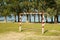 Soccer gate on amateur soccer court