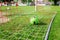 Soccer gears on green grass prepared for training in kids football academy. Popular sport activity