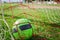 Soccer gears on green grass prepared for training in kids football academy. Popular sport activity