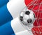 Soccer Goal. French flag with a soccer ball.