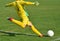 Soccer goalkeeper kicks the ball