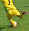 Soccer goalkeeper kicks the ball