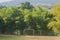 Soccer goals with trees surrounded it.