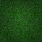 Soccer grass texture