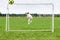 Soccer keeper in nice jump catching ball at goal