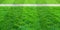 Soccer line in green grass of soccer field. Green lawn field pattern for background