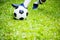 Soccer player control to shoot ball on green grass to goal. Soccer player training for match