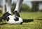 Soccer player feet, deflated soccer ball and sports, competition game and training on grass field, pitch and lawn