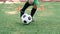 Soccer player kicking ball on field. Soccer players on training session. Close up footballer feet kicking ball on grass.