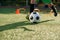 Soccer player kicking ball on field. Soccer players on training session. Close up footballer feet kicking ball on grass.