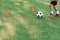 Soccer player kicking ball on field. Soccer players on training session. Close up footballer feet kicking ball on grass.