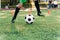 Soccer player kicking ball on field. Soccer players on training session. Close up footballer feet kicking ball on grass.