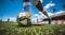 soccer player kicking ball, soccer ball in action, close-up of football player, football scene in the stadium, ball with player