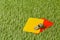 Soccer sports referee yellow and red cards with chrome whistle on grass background