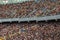 Soccer stadium inside view. football field, empty stands, a crowd of fans, a roof against the sky