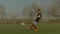 Soccer striker shooting on goal during training