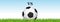 Soccer teams banner. Football stadium grass and blue sky background. Header with soccer ball in the middle.