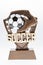 Soccer Trophy