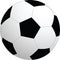 Soccer vector ball