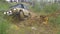 Sochi, Russia 5 June: Car wheel on a dirt road. Off-road tire covered with mud, dirt terrain. Outdoor, adventures and