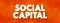 Social Capital - networks of relationships among people who live and work in a particular society, enabling that society to