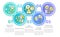 Social planning stages circle infographic template