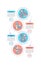 Social role type vector infographic template