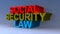 Social security law on blue