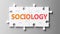 Sociology complex like a puzzle - pictured as word Sociology on a puzzle pieces to show that Sociology can be difficult and needs
