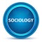 Sociology Eyeball Blue Round Button