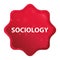 Sociology misty rose red starburst sticker button