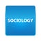 Sociology shiny blue square button