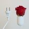 Socket With Roses Bulb (Conceptual Energy Picture)