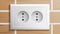 Socket Vector. Double Grounded Power Switch. Plastic Standard Panel.