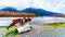 Sockeye Salmon display along the Squamish River in Brackendale Eagles Provincial Park