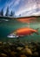 Sockeye Salmon swimming in the Alaskan river. Generative Ai