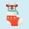Socks Christmas with cute animal inside