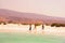 Socotra, Yemen, March 9, 2015 Simple rural fishermenThe inhabitants of the island of Socotra on the shore.island of Socotra. Yemen