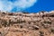 Socotra, Yemen, overview of the Dragon Blood Trees forest in Homhil Plateau