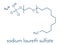 Sodium laureth sulphate detergent molecule. Used in cosmetics, soaps, shampoos, etc. Skeletal formula.