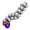 Sodium palmitate soap molecule. Prepared from palm oil by saponification