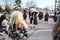 Sofia, Bulgaria - 02. Local Mummer Groups performing traditional rituals to scare away the evil spirits