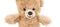 Soft bear toy isolated