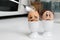 Soft boiled eggs with surprised face in the kitchen