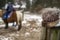 Soft brush for grooming horses lies on a wooden fence post, on a blurry background of a pony and rider