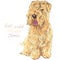 Soft-coated Wheaten Terrier dog