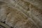 Soft coffee synthetic fabric in the form of natural long fur. Brown synthetic fur in spacing arrangement with different structure