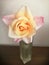 Soft colored rose in a vase