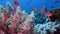 Soft Coral Broccoli and Colorful Fishes. Picture of broccoli coral Litophyton arboreum and colourful fish in the